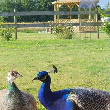 La Ferme De Lec'H Hameury Plestin-les-Grèves Exterior foto